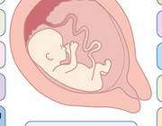 Prenatale screening en prenatale diagnostiek